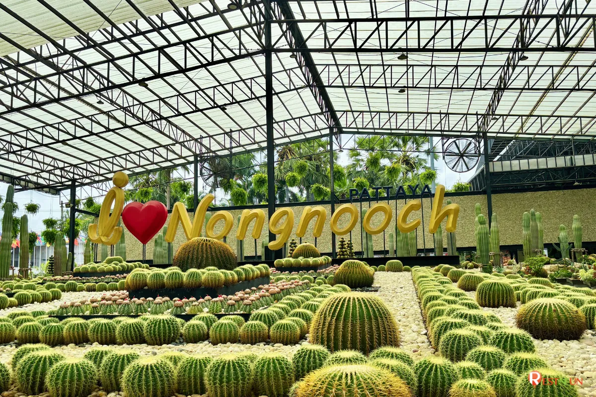 ค่าเข้าชมสวนนงนุช ราคาสุดพิเศษ